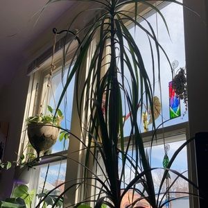 Meet your Posher, Kellie